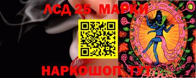 прущие грибы Усть-Илимск