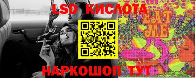 прущие грибы Усть-Илимск