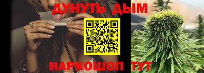 прущие грибы Усть-Илимск