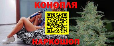 прущие грибы Усть-Илимск