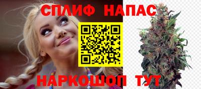 прущие крисы Усть-Джегута