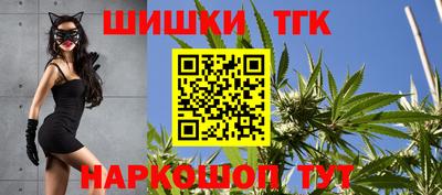 прущие грибы Усть-Илимск