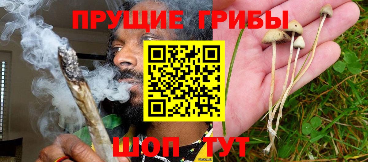 Галлюциногенные грибы прущие грибы Гусиноозёрск