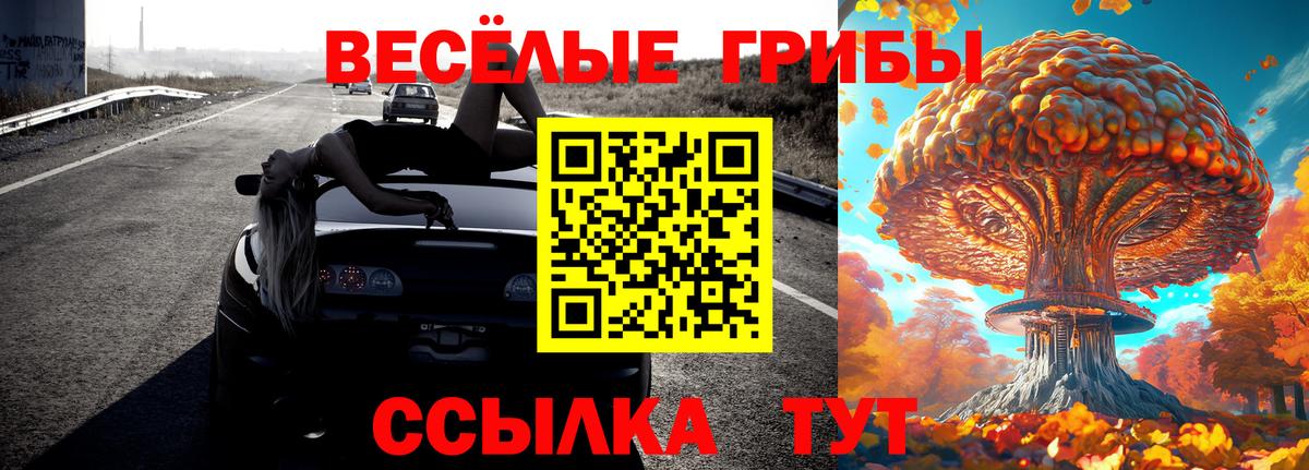 Галлюциногенные грибы мицелий  Вход с VPN  Гусиноозёрск 