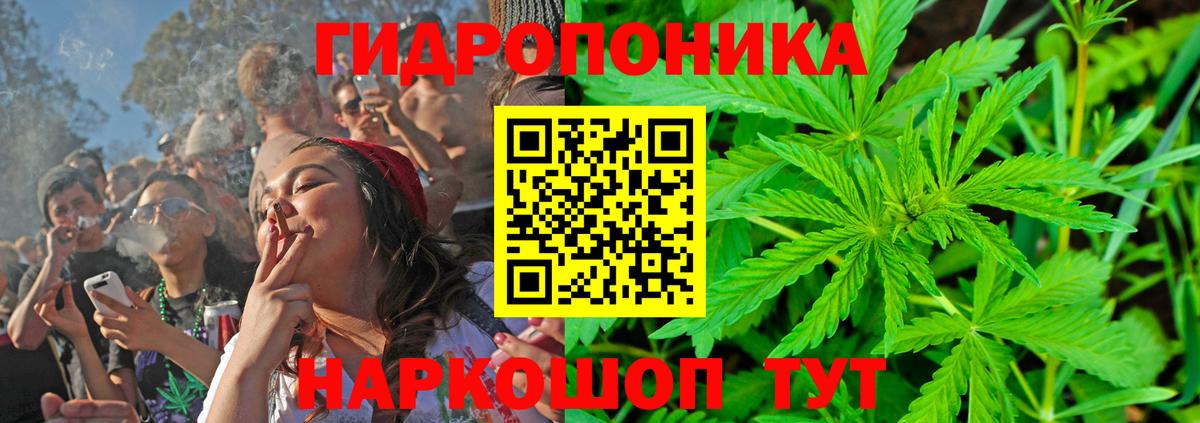 Бошки марихуана THC 21%  Вход с VPN  МАРИХУАНА Ganja  Конопля марихуана  Гусиноозёрск 